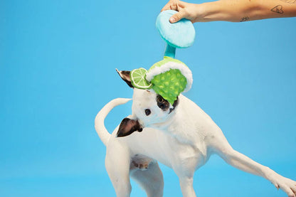BARK Muy Squeaky Margarita - Performance Dog Supply