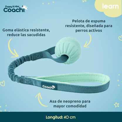 Coachi Puppy & Mini Tuggi Ball Teal & Mint