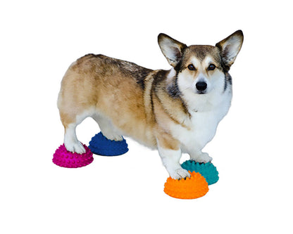 FitPAWS - FitPAWS® Paw Pods, Anti-Skid Bottom (set of 4, net bag)