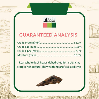 Bulk - Dehydrated Duck Heads – 30 Count