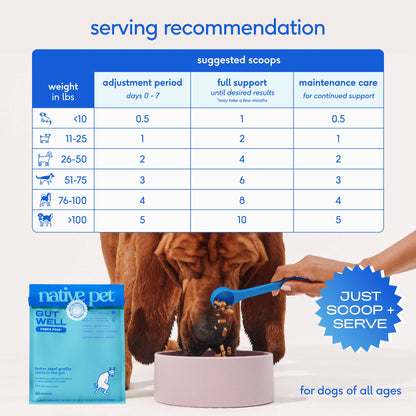 Native Pet - Native Pet GutWell Power Poop Digestion Support Supplement