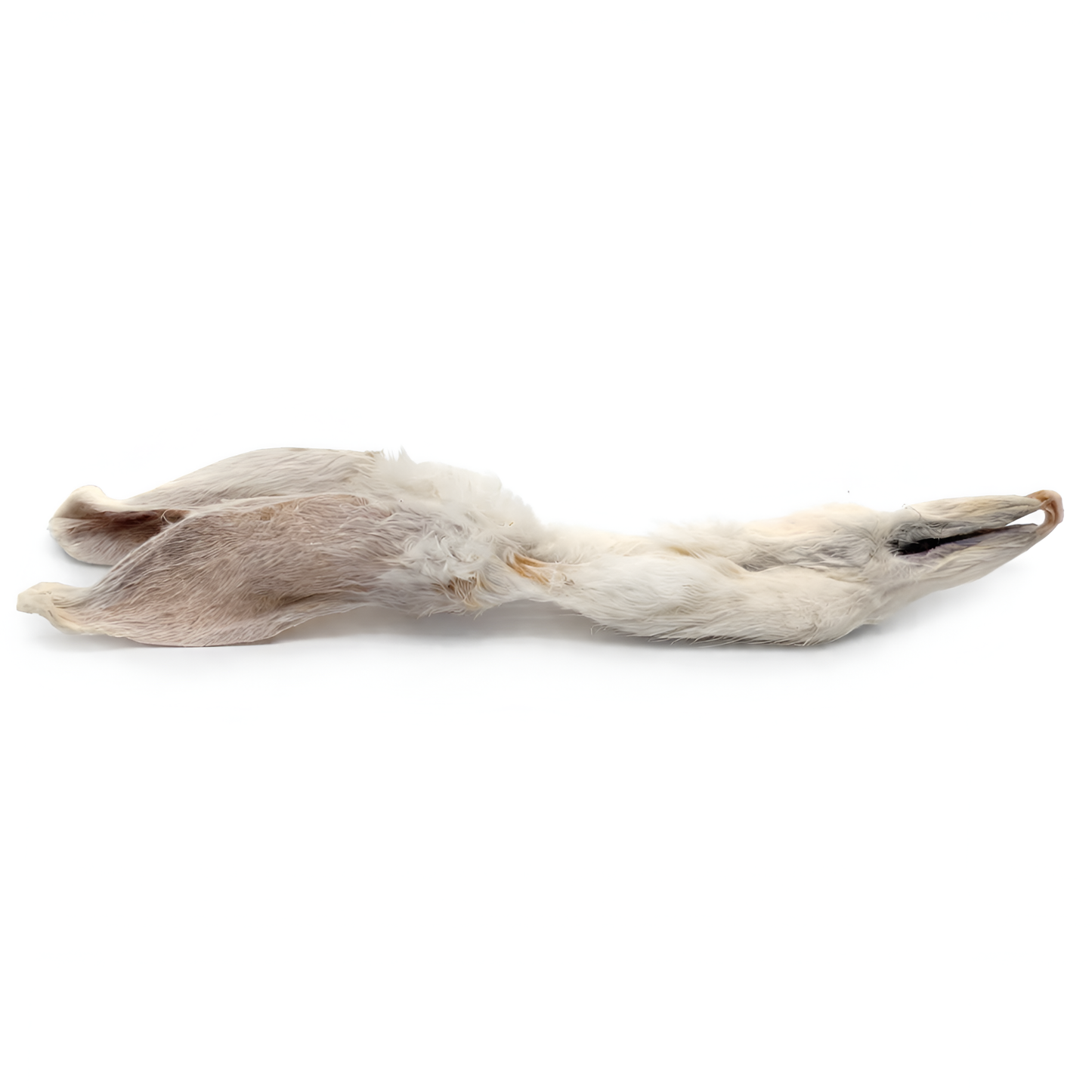 BULK - Rabbit Ears with Fur Dog Chews - 25-pack