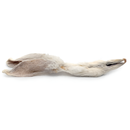 BULK - Rabbit Ears with Fur Dog Chews - 25-pack