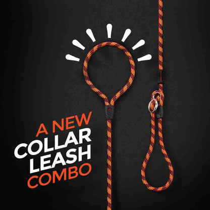 Ezydog Luca Slip Leash