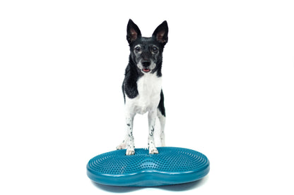 FitPAWS - FitPaws Duo Disc (24" x 13" x 3")