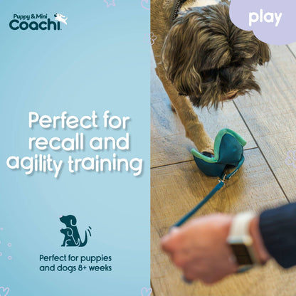 Coachi Puppy & Mini Chase & Treat Teal & Mint