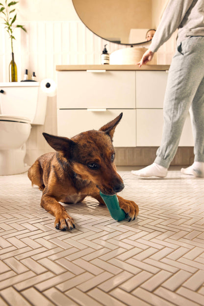 The Bite n' Brush - Performance Dog Supply