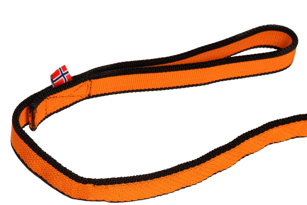 NSD Bungee Leash