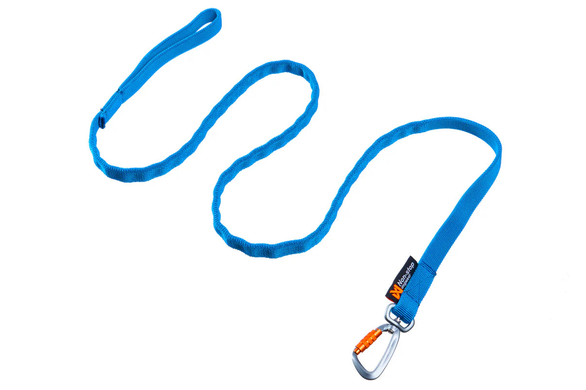 NSD Bungee Leash