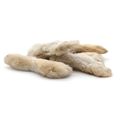 BULK - Rabbit Feet with Fur Dog Chews – 25 pack