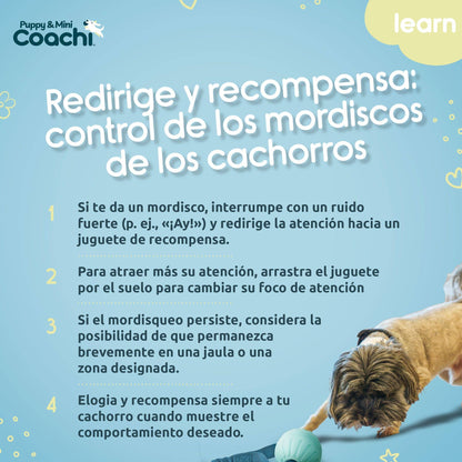 Coachi Puppy & Mini Tuggi Ball Teal & Mint