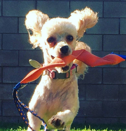 Katie’s Bumpers Wiggy Tug