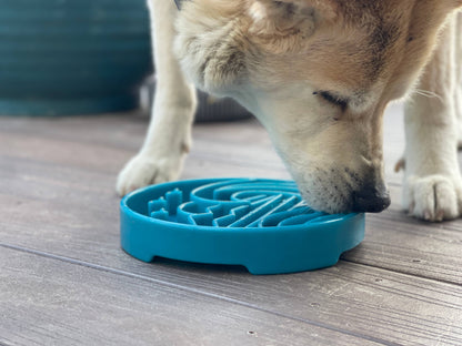 Baja Design eTray Shallow Slow Feeder Bowl for Dogs - Performance Dog Supply