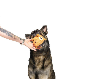 BARK Tinkles The Gerbil - Performance Dog Supply