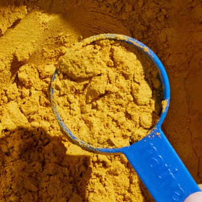 Native Pet - Organic Pumpkin Fiber Powder, Digestive Supplement for Dogs: 16 oz