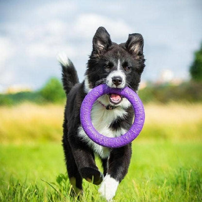 Puller - Agility Training Fetch Ring - Performance Dog Supply