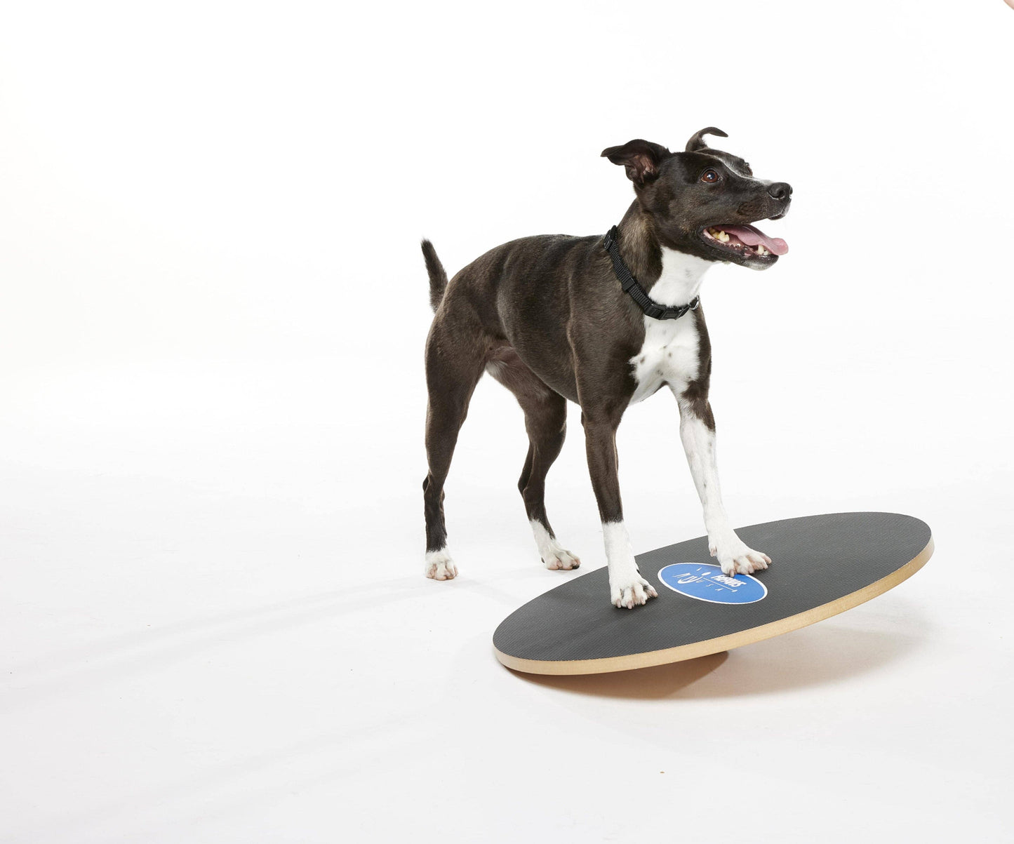 FitPAWS - FitPaws Wobble Board, Dog Balance Training Platform