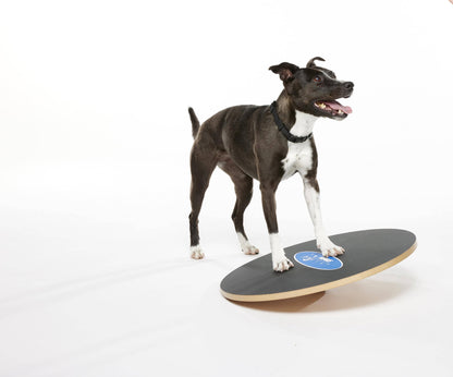 FitPAWS - FitPaws Wobble Board, Dog Balance Training Platform