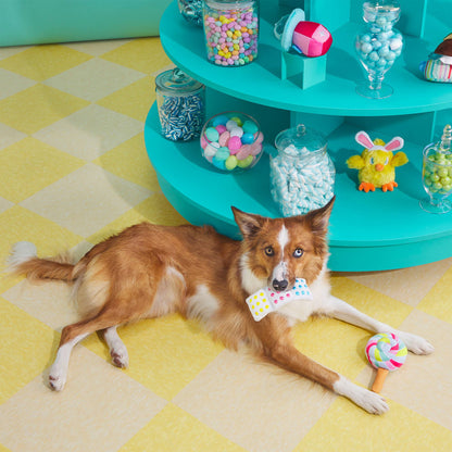 BARK Lollipop Plush Dog Toy - Performance Dog Supply