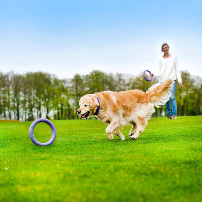 Puller - Agility Training Fetch Ring - Performance Dog Supply