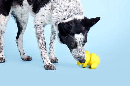 BARK Fowl Play - Performance Dog Supply