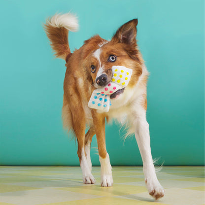 BARK Lollipop Plush Dog Toy - Performance Dog Supply