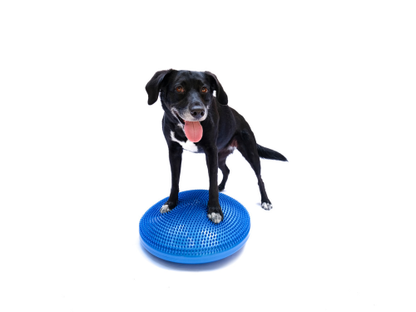 FitPAWS - FitPaws Balance Disc