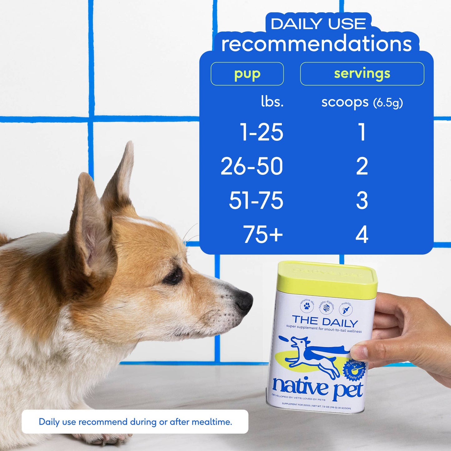 Native Pet - The Daily Powder Supplement, 11-in-1 Multivitamins for Dogs: 60 scoops
