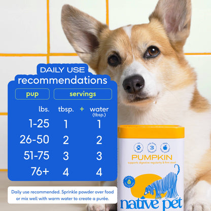 Native Pet - Organic Pumpkin Fiber Powder, Digestive Supplement for Dogs: 16 oz