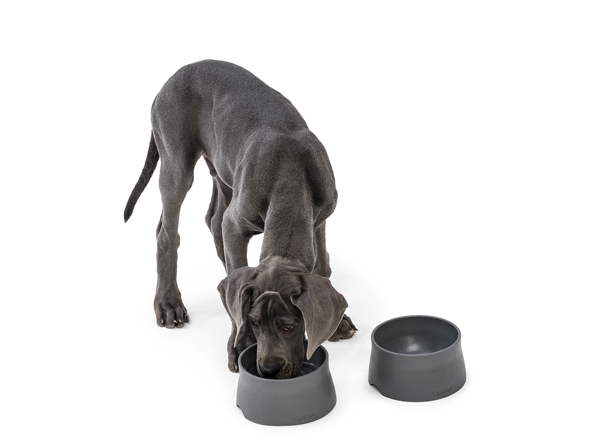 West Paw - No-Slip Dog Feeding Water Bowl