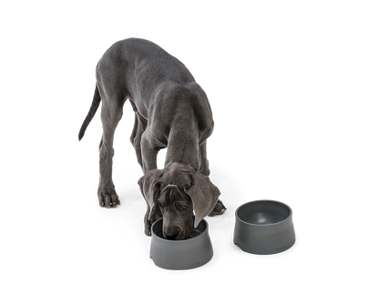 West Paw - No-Slip Dog Feeding Water Bowl