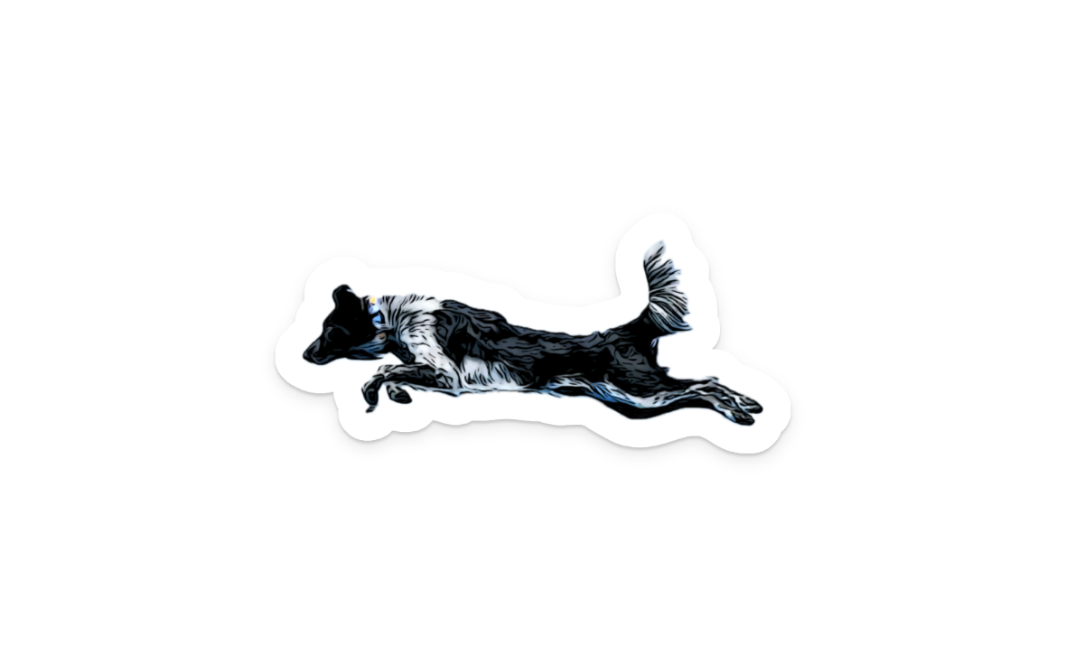 Steller Sticker