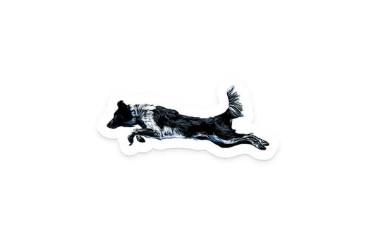 Steller Sticker