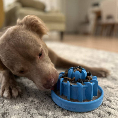 FreezLava - Performance Dog Supply