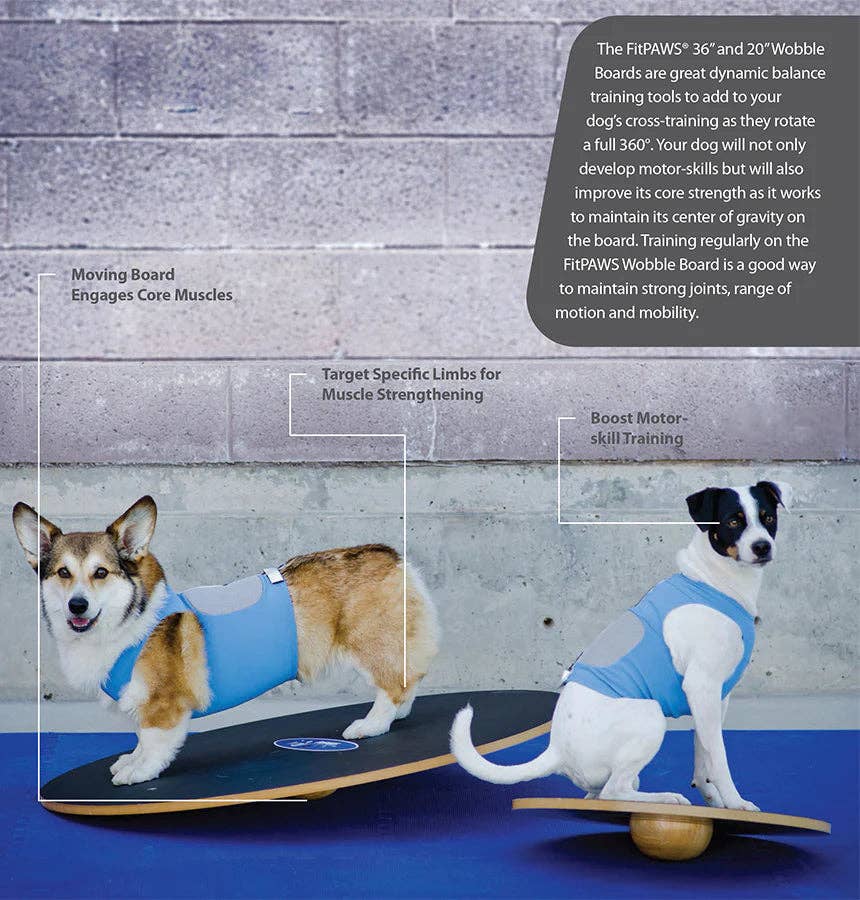 FitPAWS - FitPaws Wobble Board, Dog Balance Training Platform