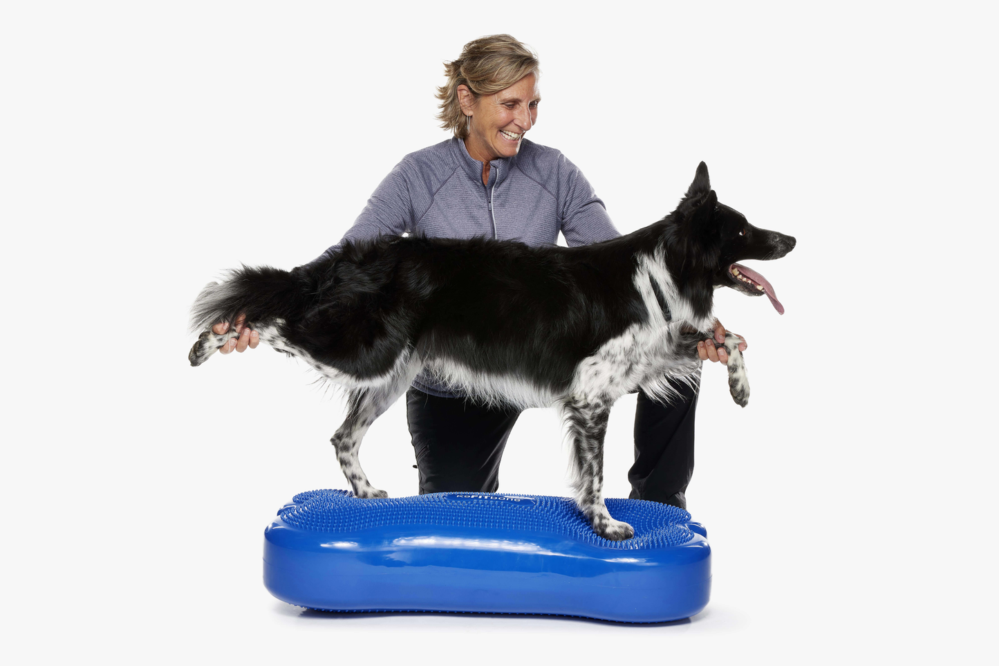 FitPAWS - Giant K9FITbone Dog Balance Training Platform