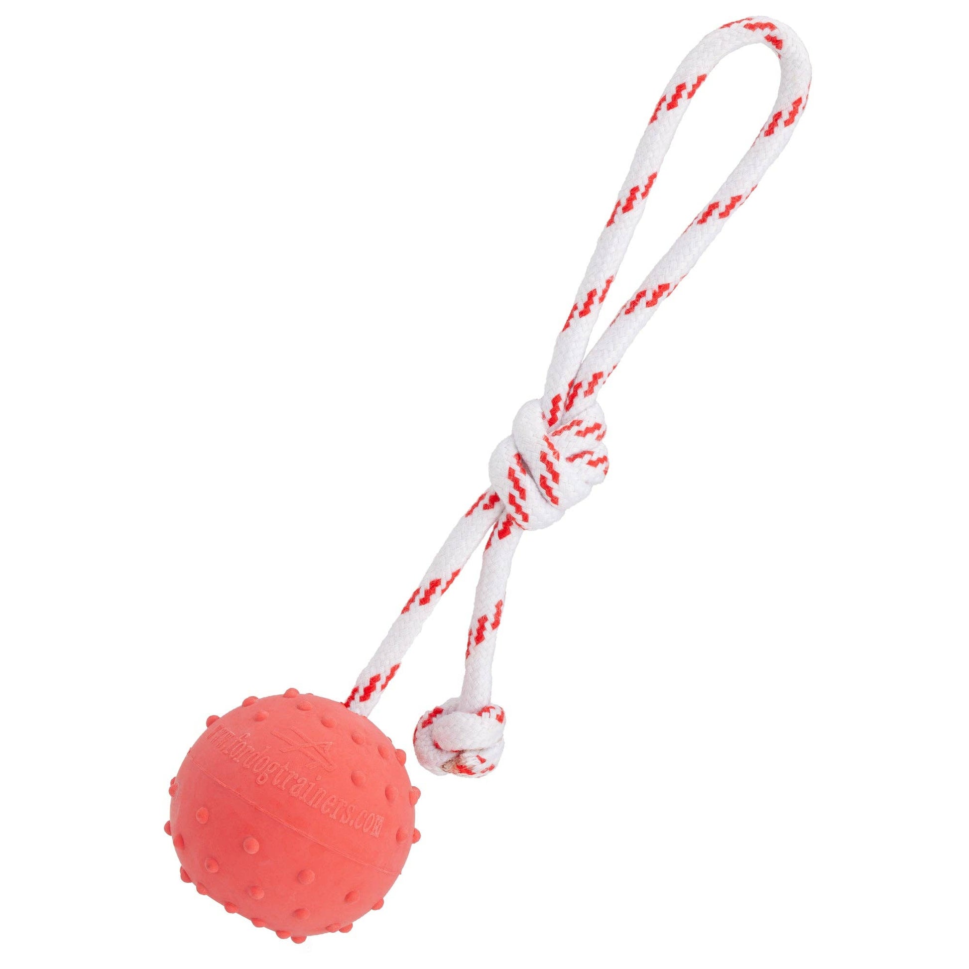 FDT Solid Rubber Reward Ball - Performance Dog Supply