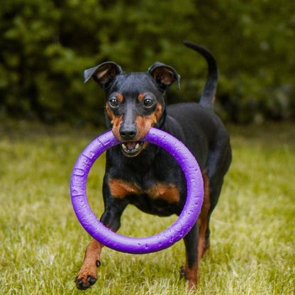 Puller - Agility Training Fetch Ring - Performance Dog Supply