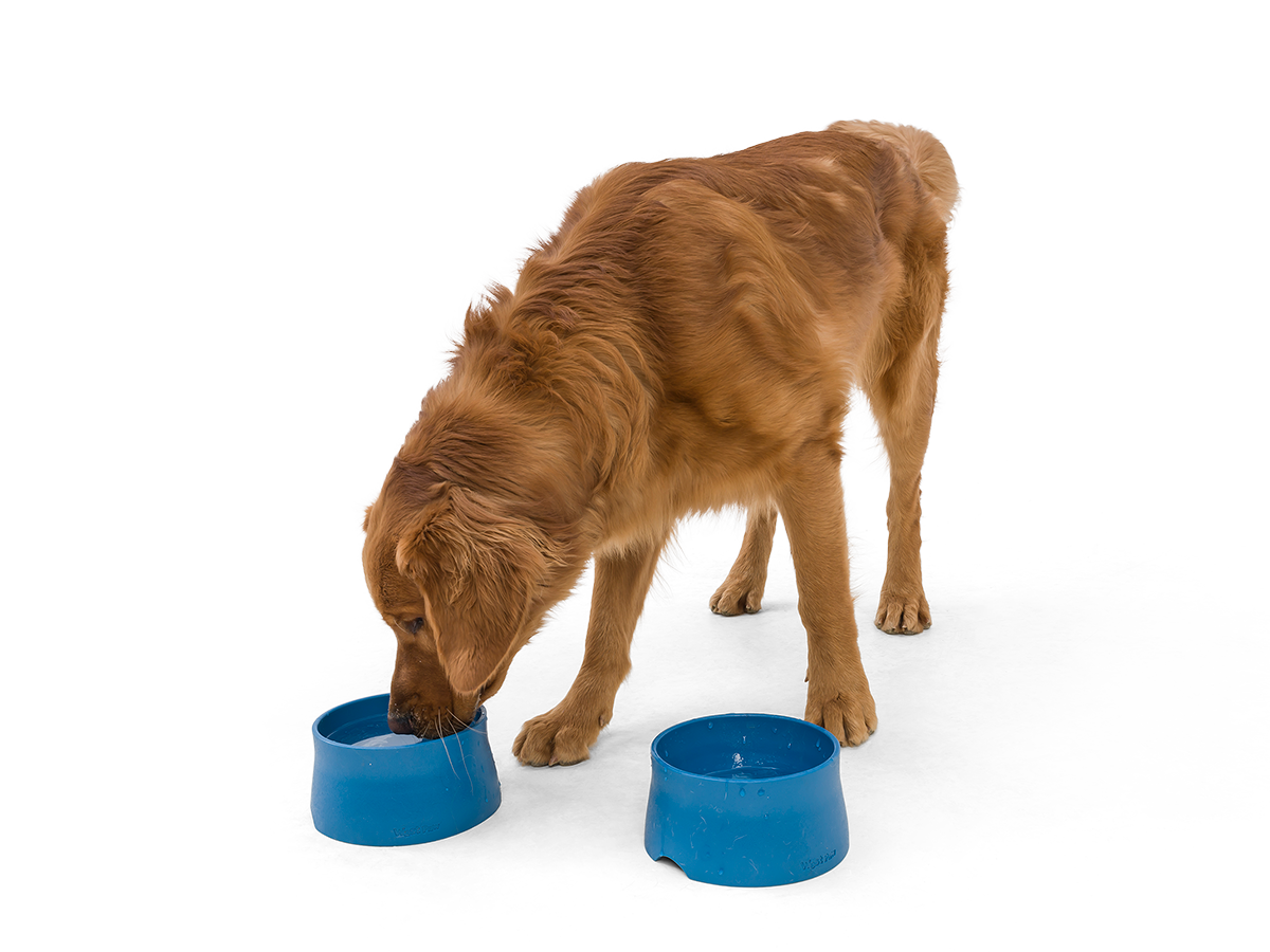 West Paw - No-Slip Dog Feeding Water Bowl