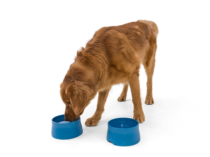 West Paw - No-Slip Dog Feeding Water Bowl