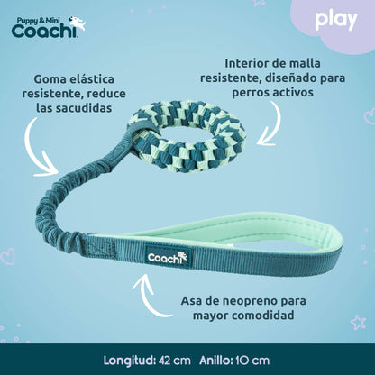 Coachi Puppy & Mini Tuggi Helix Teal & Mint