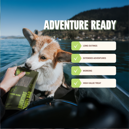 Venison Treat & Snack Bar for Active Dog - Energy & Recovery
