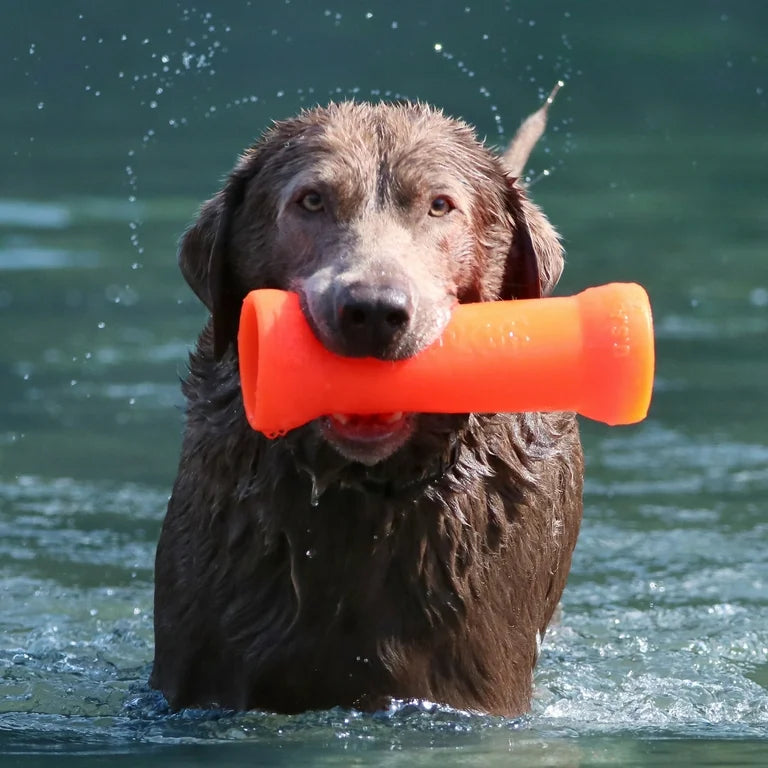 XL CRINKIT - Water Bottle Toy