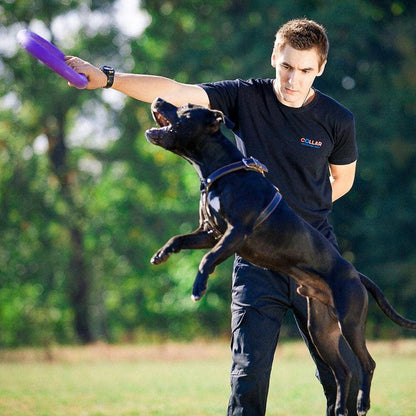 Puller - Agility Training Fetch Ring - Performance Dog Supply