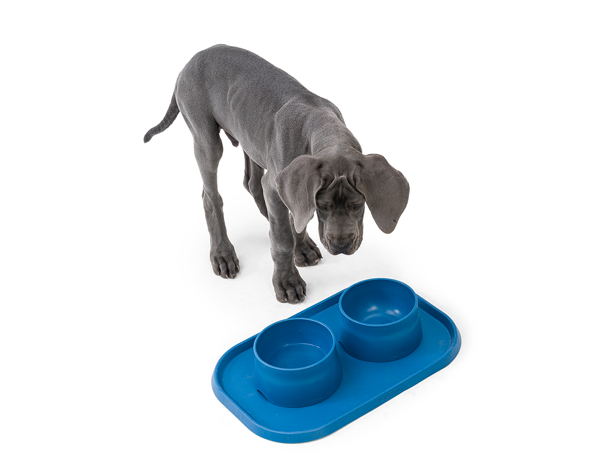 West Paw - No-Slip Dog Feeding Water Bowl