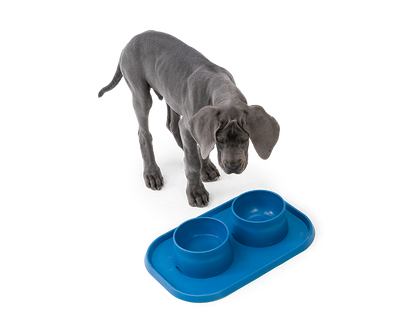 West Paw - No-Slip Dog Feeding Water Bowl