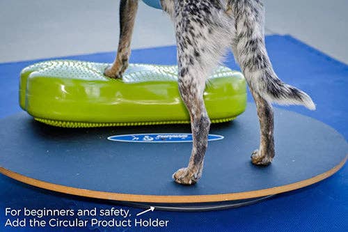 FitPAWS - FitPaws Wobble Board, Dog Balance Training Platform