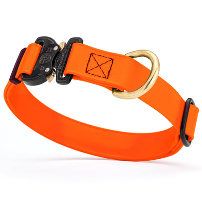 BioThane Dog Collar/Cobra Buckle