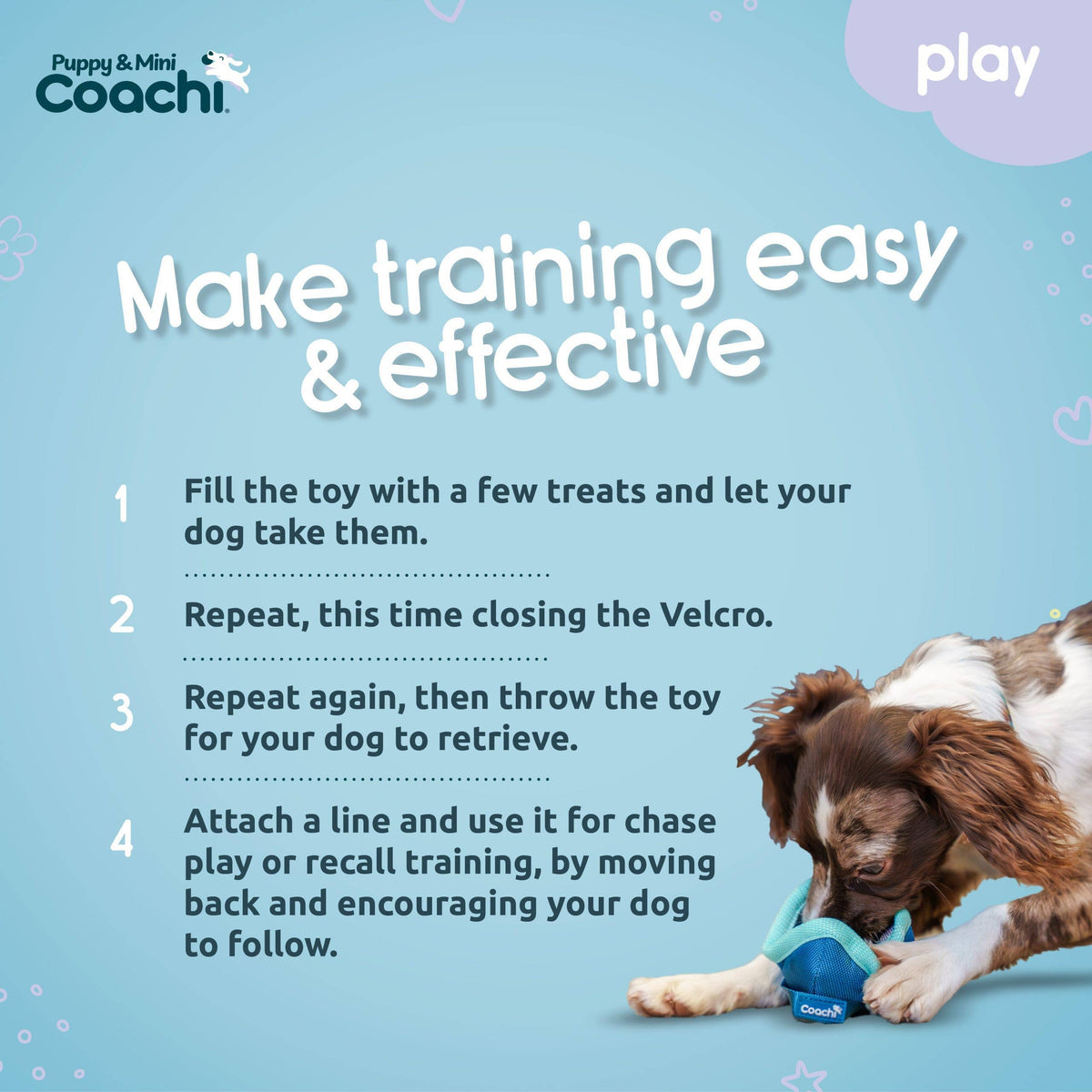 Coachi Puppy & Mini Chase & Treat Teal & Mint
