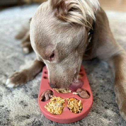 FreezPaw Mat - Performance Dog Supply